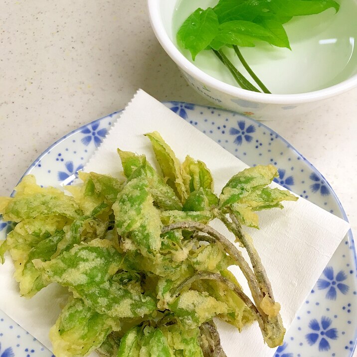 コシアブラ　山菜の天ぷら